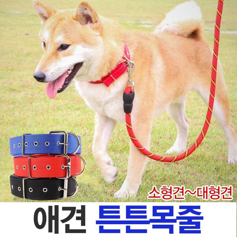 제이앤씨 튼튼목줄 반려동물 소형 대형견 애견 벨트타입 목줄, 튼튼목줄-M-블루, 1개