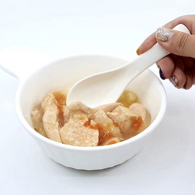 더독 건강 강아지간식 파우치, 닭백숙, 100g, 10개
