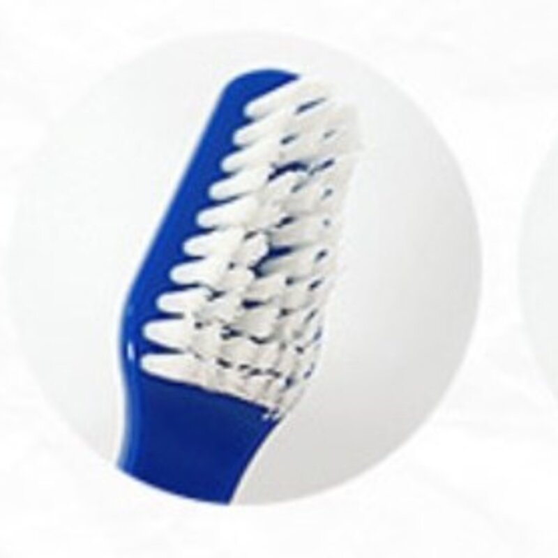 부들부들 에코랜드 반려견 치약칫솔세트, 80g, 2세트