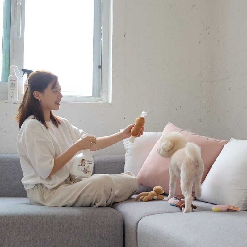 강아지 반려동물 오줌냄새제거제 살균소독 스프레이 4종 1000ml, 베이비파우더향, 1L, 1개