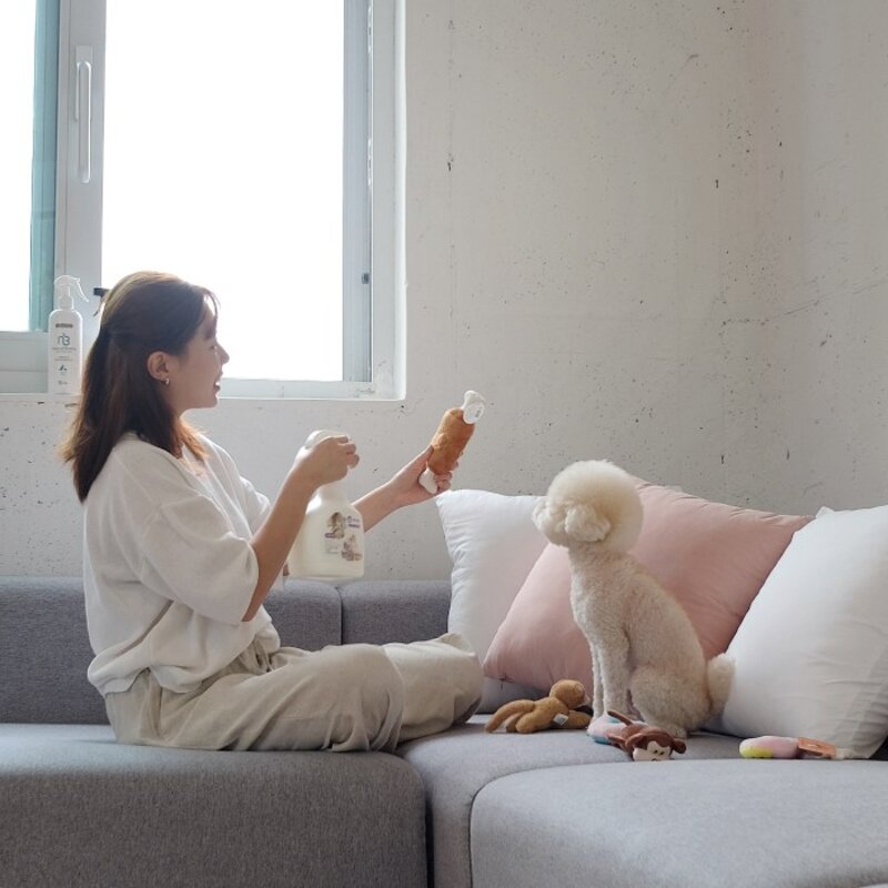 강아지 반려동물 오줌냄새제거제 살균소독 스프레이 4종 1000ml, 베이비파우더향, 1L, 1개