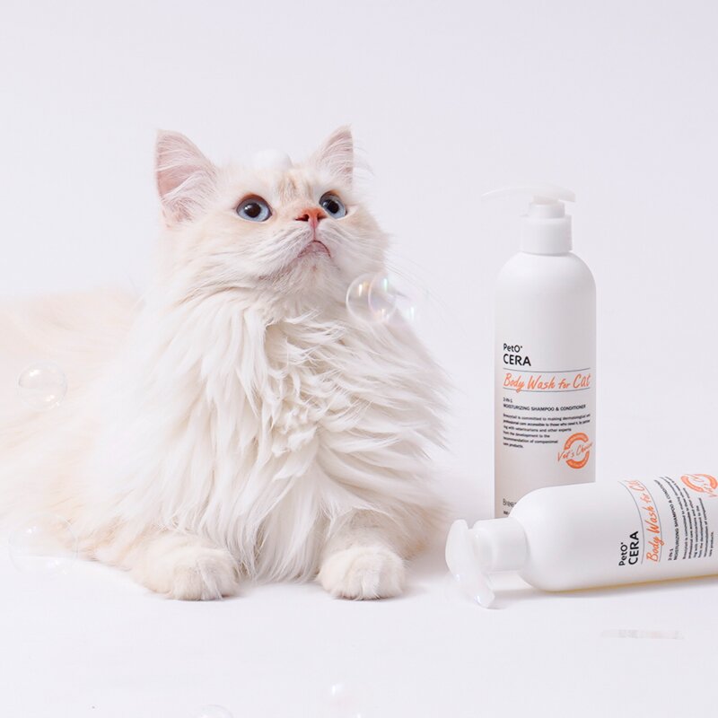 브리지테일 페토세라 저자극 고양이 보습 샴푸, 300ml, 1개