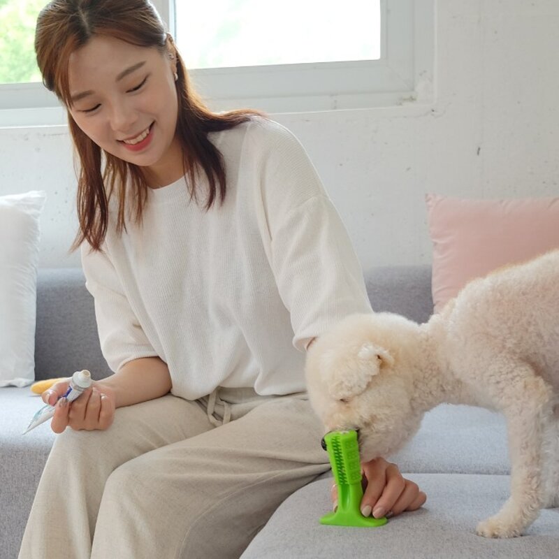 애견치약 버박치약 자이목스 오라틴 안티셉틱 엔자덴트 강아지치약 입냄새 치석제거 치약모음전, 6-1.쏘아베 - 어린이용 치약, 1개