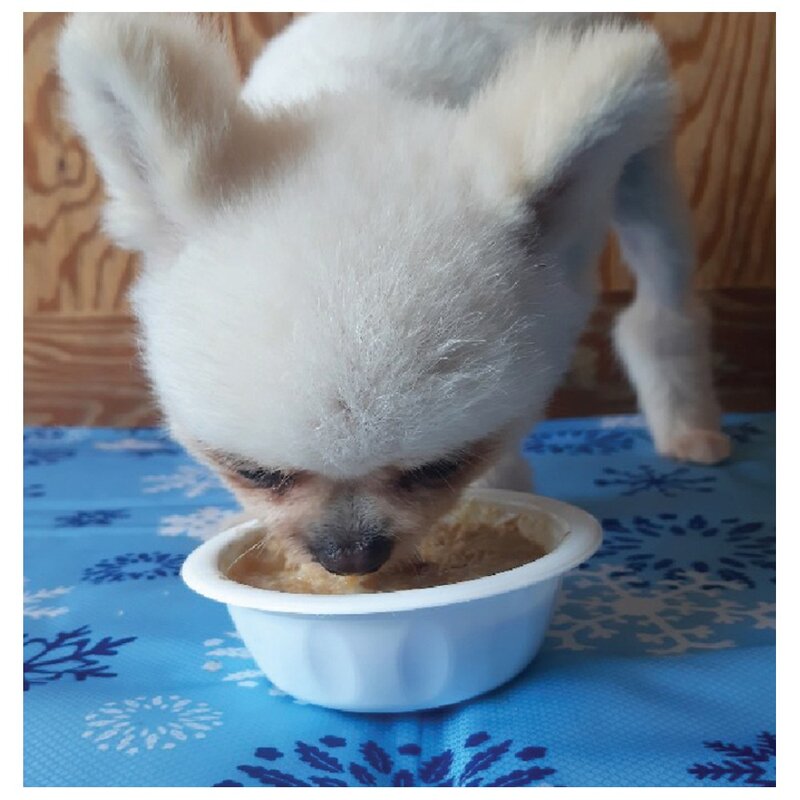 논다 강아지 간식파우치, 전복삼계탕, 120g, 12개