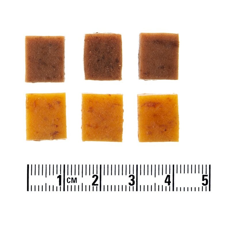 탐사 리얼 오메가 트릿 강아지간식 180g, 소고기1 + 연어1, 2개입