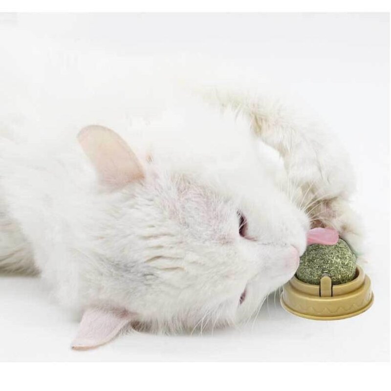 네이처펫 냥냥이 롤링 캣닢 사탕, 2개
