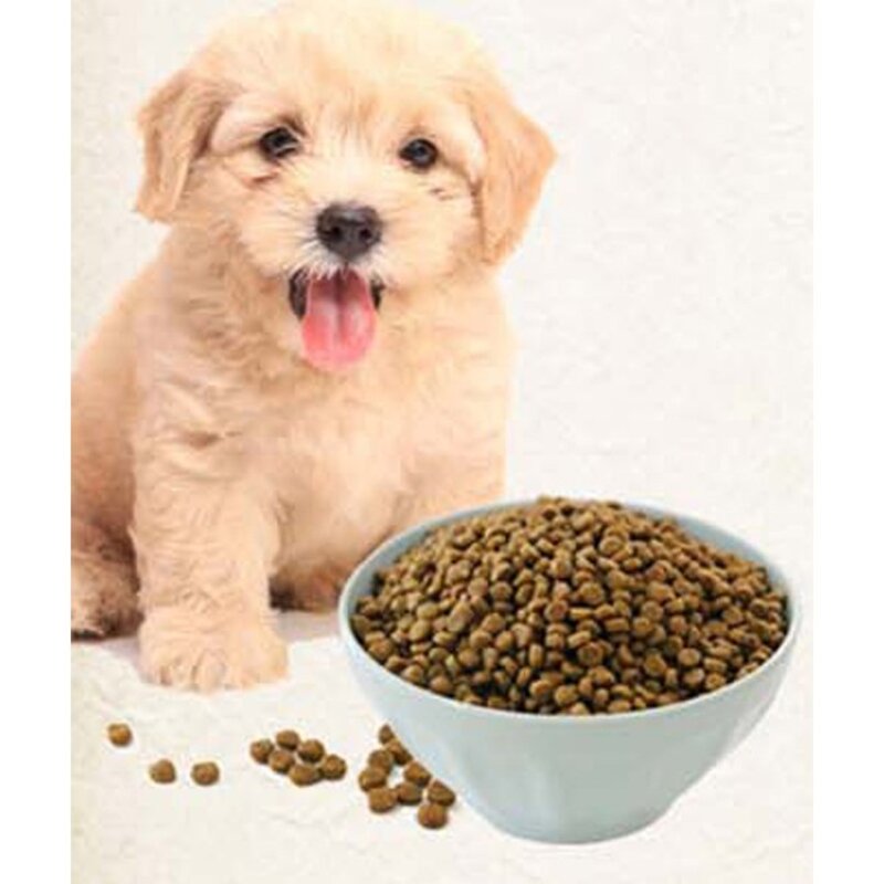 건강백서 전연령 강아지 기능성 사료, 건강한 관절, 1.2kg, 1개