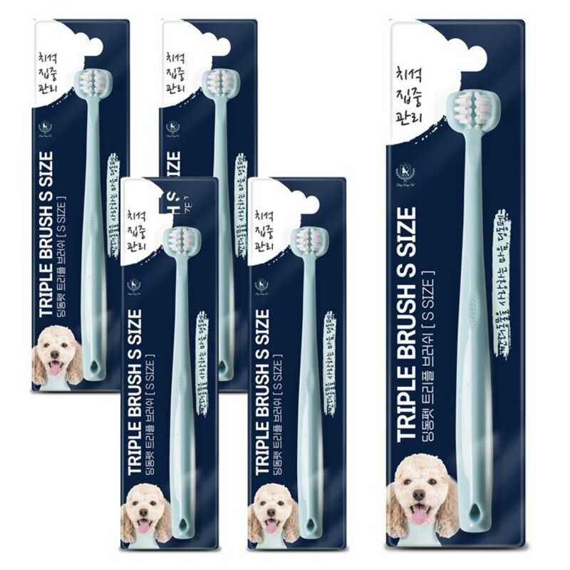 딩동펫 반려동물 트리플 브러쉬 칫솔 소형, 3개, 혼합색상
