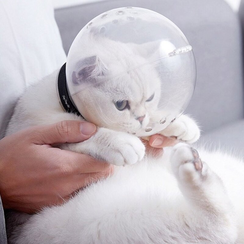 딩동펫 고양이 우주헬멧 입마개, 투명, 1개