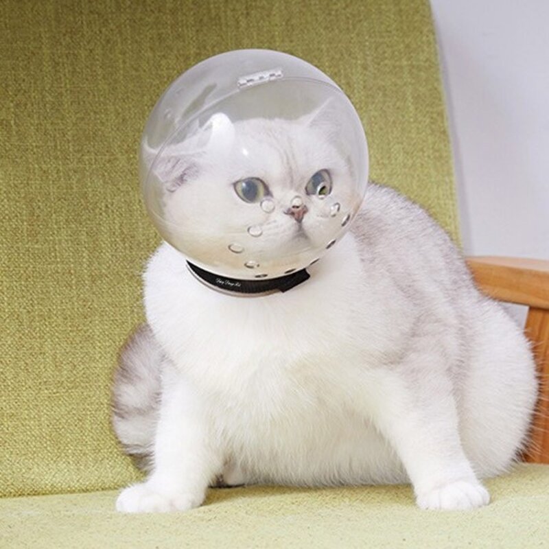 딩동펫 고양이 우주헬멧 입마개, 투명, 1개