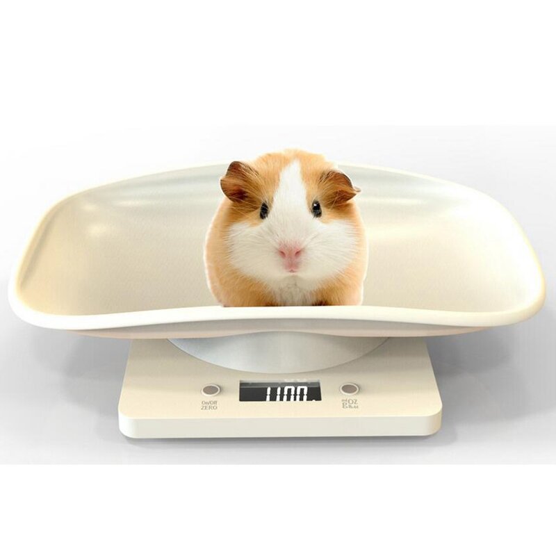 캠아웃도어 가정용 아기 강아지 고양이 체중계 저울 반려동물 신생아, 295x206x58mm, 화이트, 아크릴로 니트릴 부타디엔 스티렌 플라스틱, 1가방 체험룩, 본상품