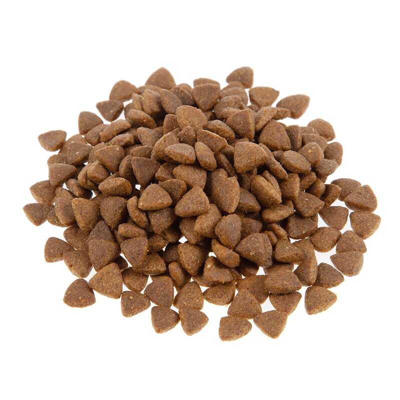 탐사 6free 강아지 사료 양고기 레시피, 3kg, 1개, 양