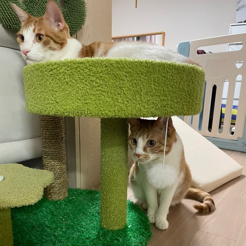 PETCA 고양이 기둥형 3단 선인장 스크래쳐 캣타워 고양이장난감, 그린, 1개
