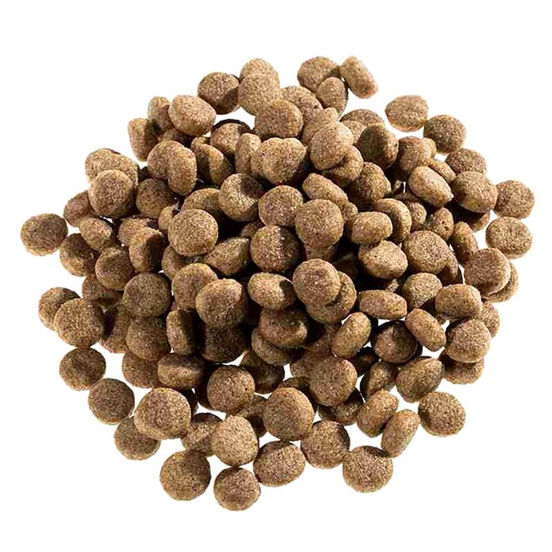 펫발란스 어덜트 미디움 & 라지 브리드 치킨 라이스 반려견 사료, 닭, 10kg, 1개