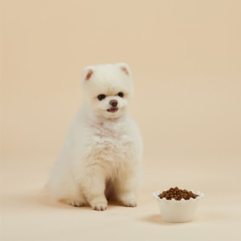 강아지 잘먹잘싸 전연령 애견 건식사료, 연어, 2kg, 1개