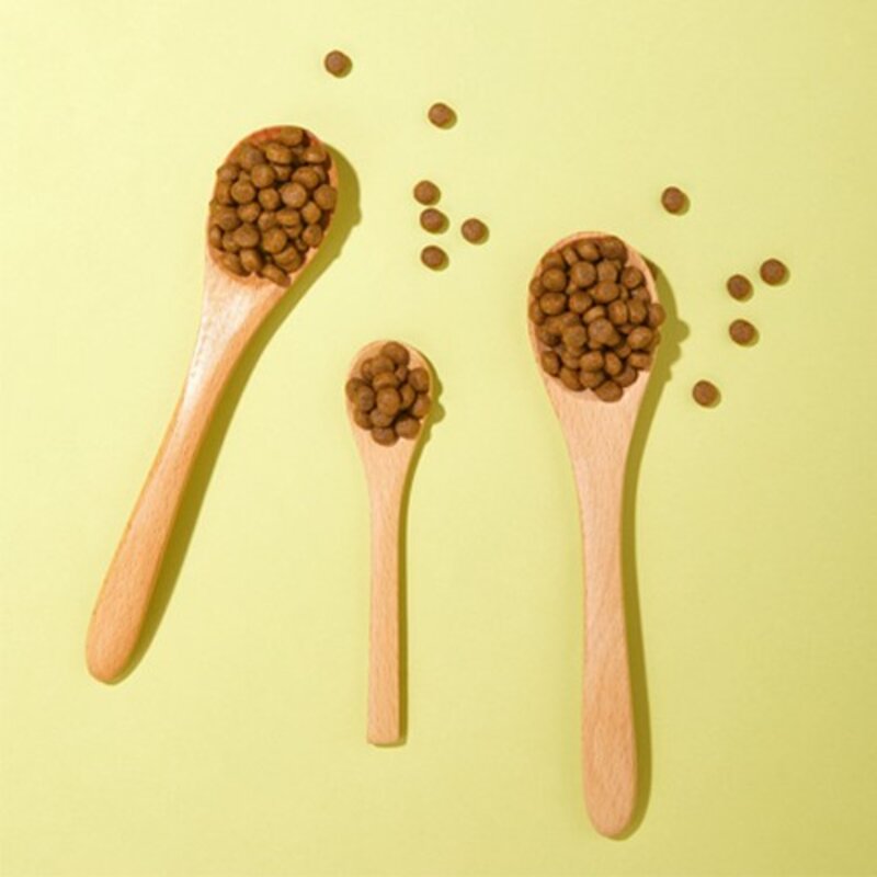 강아지 잘먹잘싸 전연령 애견 건식사료, 연어, 2kg, 1개