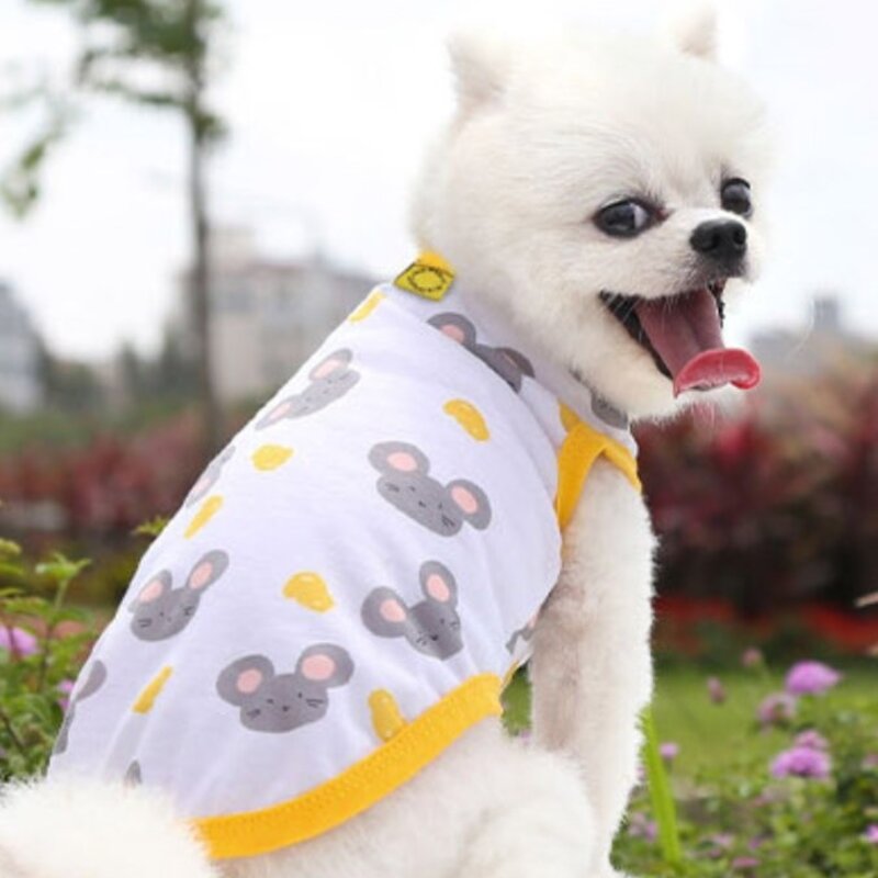 강아지 옷, 녹색, 1개
