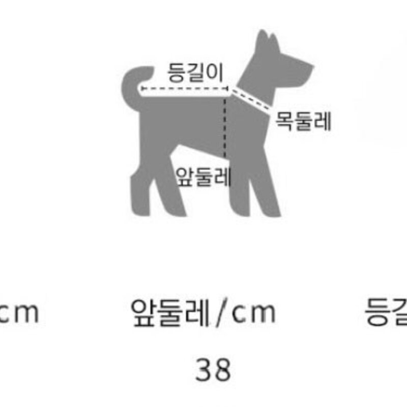 강아지 옷, 녹색, 1개