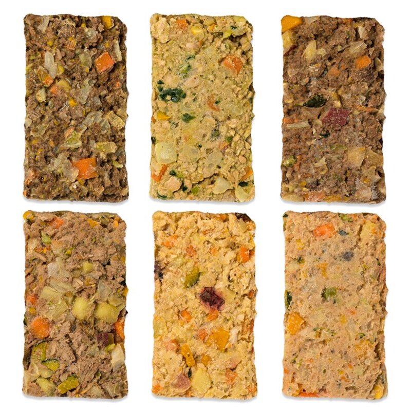 하이독 강아지 냉동 화식사료 버라이어티팩 100g x 6종, 1세트