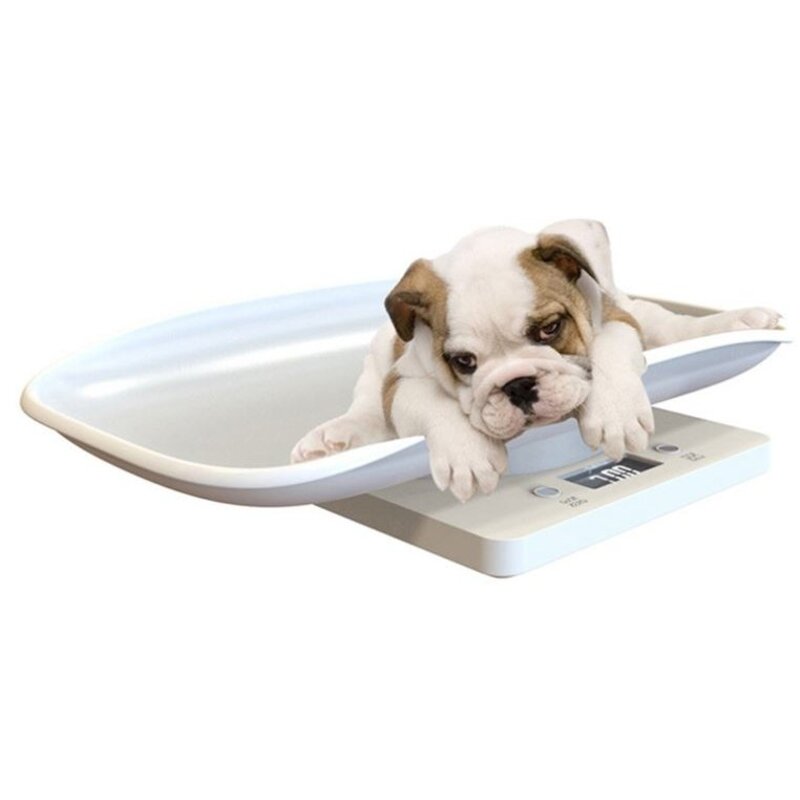 강아지 고양이 소형 체중계 (MAX 10kg), 화이트, 1개