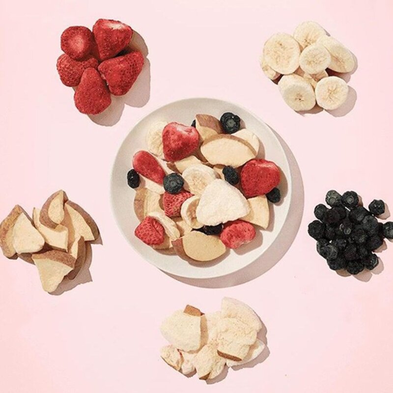 닥터독 강아지 리얼 동결건조 간식 후르츠 40g, 딸기 + 사과 + 바나나 + 블루베리 + 배 혼합맛, 1개