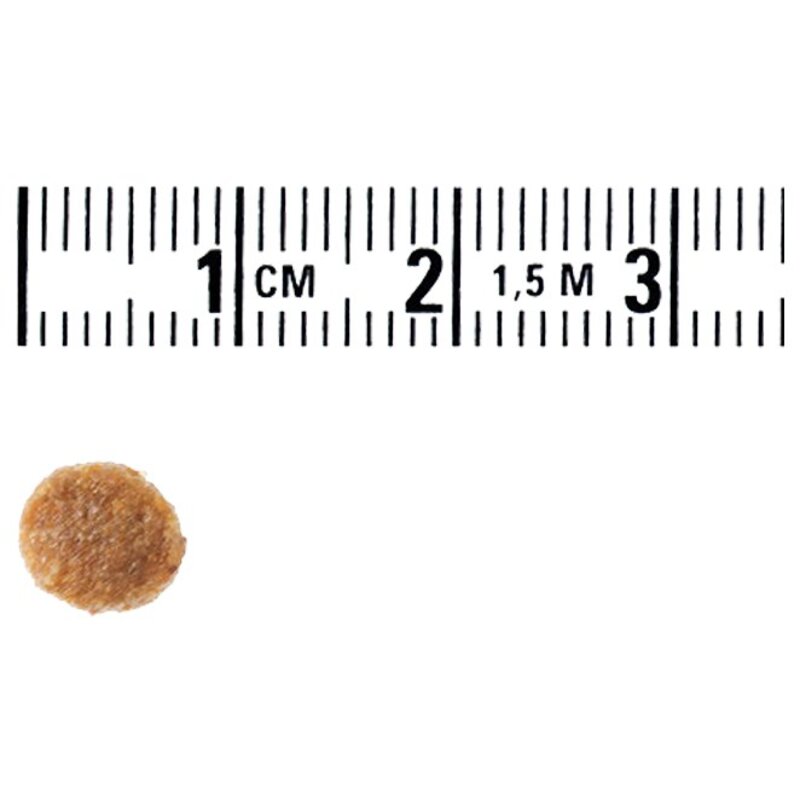 건강백서 전연령용 건강한 피부 기능성 사료, 알러지 예방, 2kg, 1개
