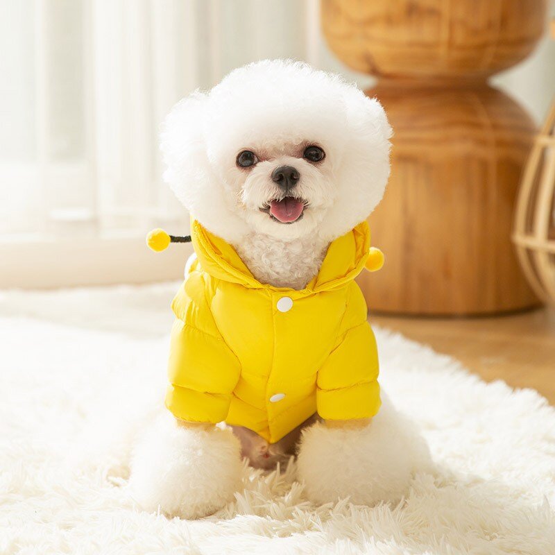 유유라키 반려동물 큐티애니멀 꿀벌 패딩 올인원, 1개