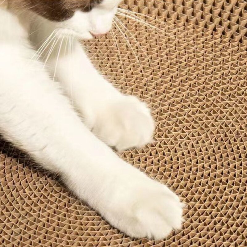 펫츠몬 눕기 편한 특대형 B골 스크래쳐 원형, 혼합색상, 1개