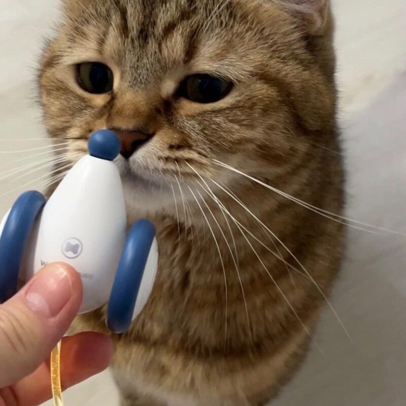 냥템점 고양이 자동 장난감 위키드 마우스, A1001, 블루, 1개