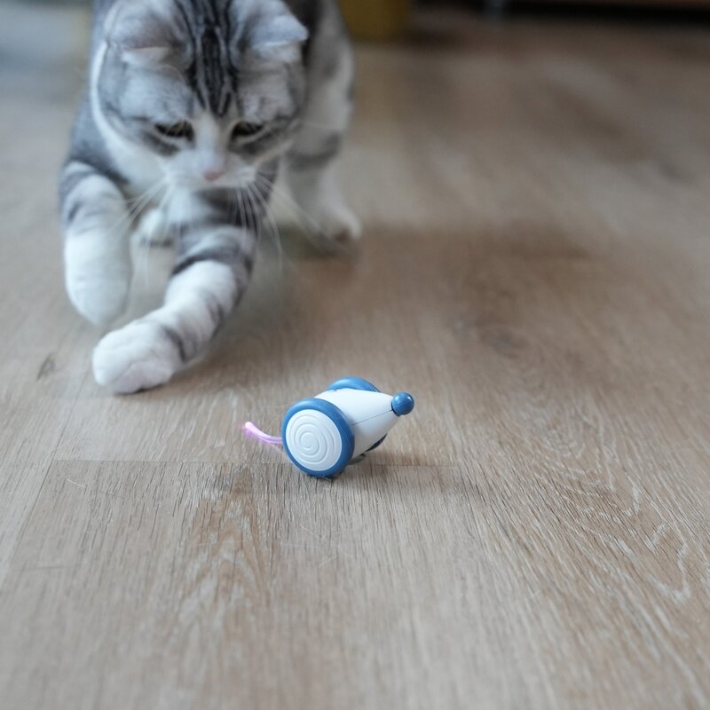 냥템점 고양이 자동 장난감 위키드 마우스, A1001, 블루, 1개