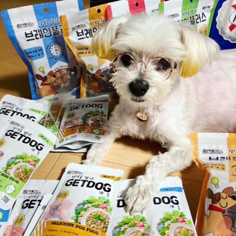개똑 강아지 습식사료 주식 뇌건강 소고기+오리+참치 70g 12개, 참치+소고기, 없음