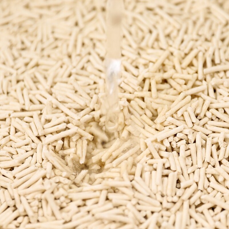 탐사 가는 입자 고양이 두부모래 2mm, 8L, 5팩, 오리지널