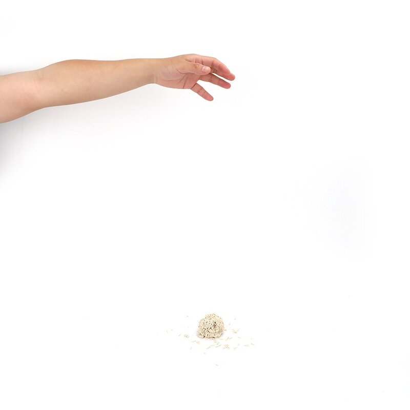 탐사 가는 입자 고양이 두부모래 2mm, 8L, 5팩, 오리지널
