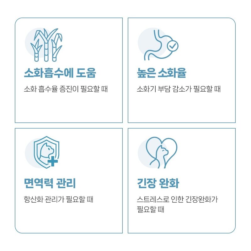 유한양행 전연령 레시피브이 고양이 처방식사료, 건강한 레날케어(신장), 1.2kg, 1개