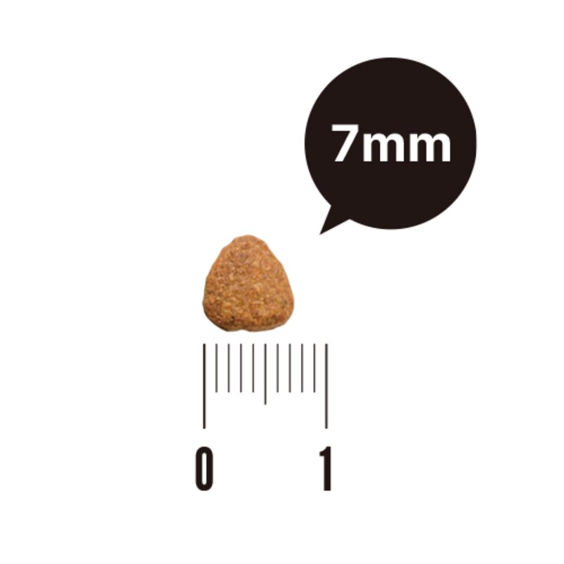 유한양행 전연령 레시피브이 고양이 처방식사료, 건강한 레날케어(신장), 1.2kg, 1개