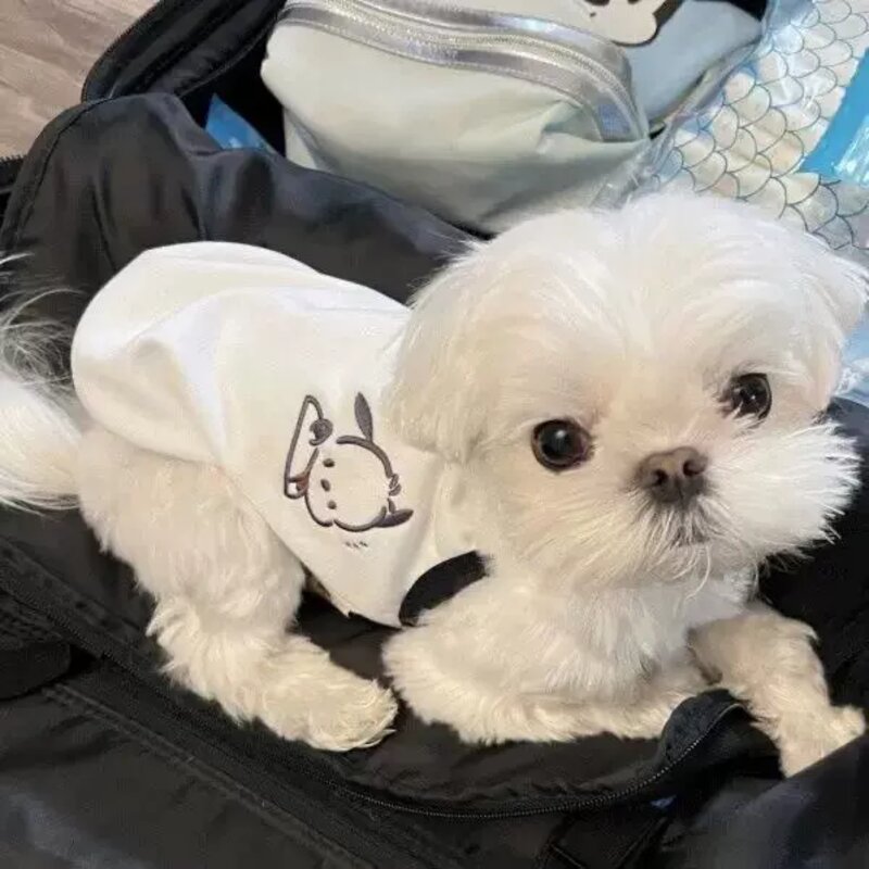 강아지여름옷 포챠코 나시, 1개
