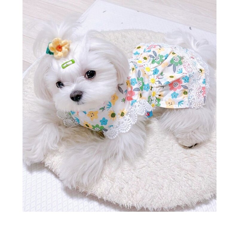 [에픽스토리] 강아지옷 꽃무늬 레이스 원피스, 기본컬러, 1개