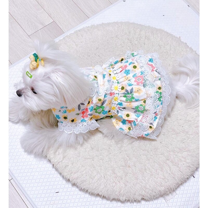 [에픽스토리] 강아지옷 꽃무늬 레이스 원피스, 기본컬러, 1개