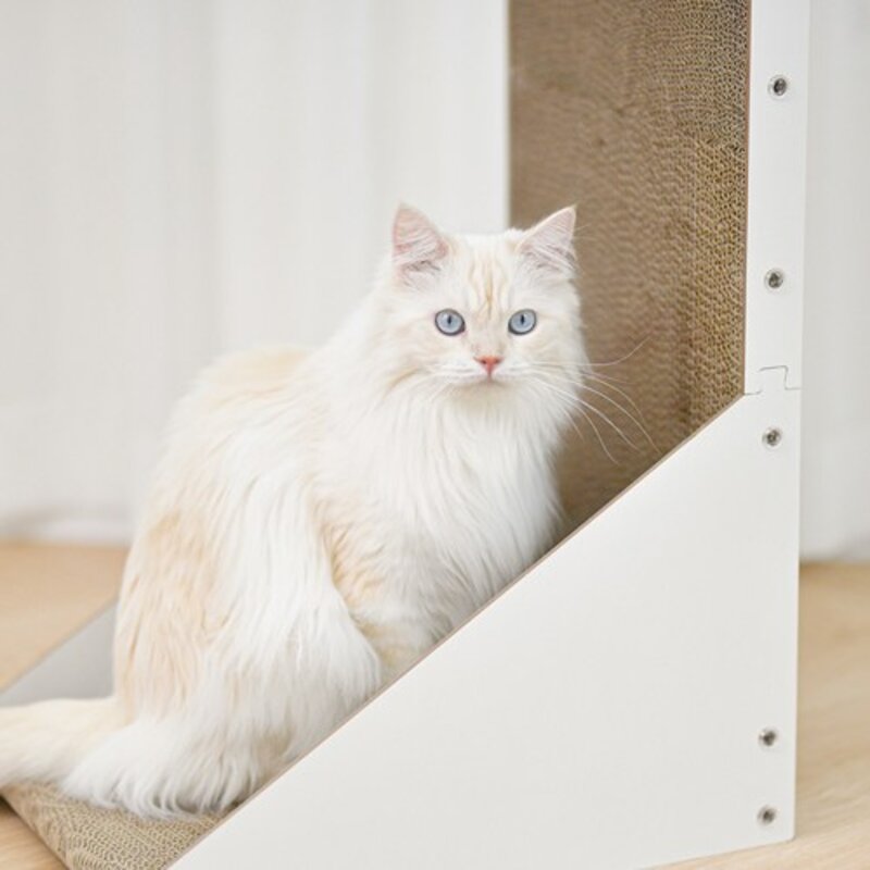 펫펫펫 고양이 스크래쳐 수직형, 1개