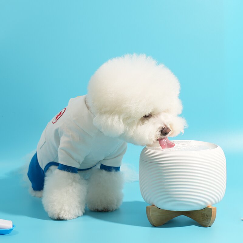 페키움 고양이 강아지 정수기 자동 급수기 저소음 올인원 세트, 페키움 자동 정수기단품, 1개
