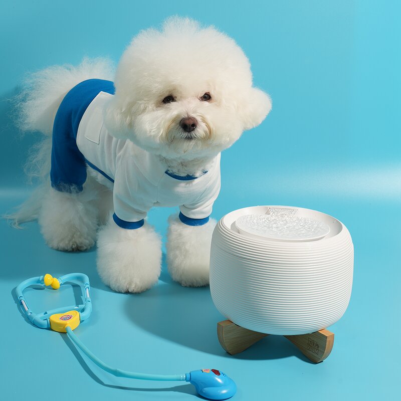 페키움 고양이 강아지 정수기 자동 급수기 저소음 올인원 세트, 페키움 자동 정수기단품, 1개
