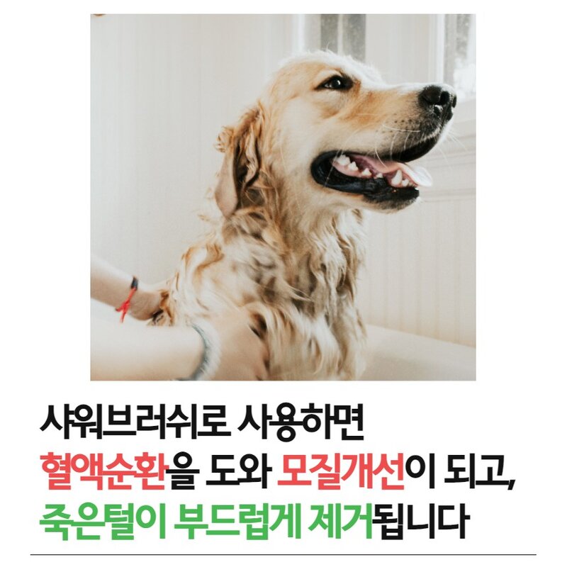 [1+1] 핸독 부드럽펫 마사지 브러쉬, 2개
