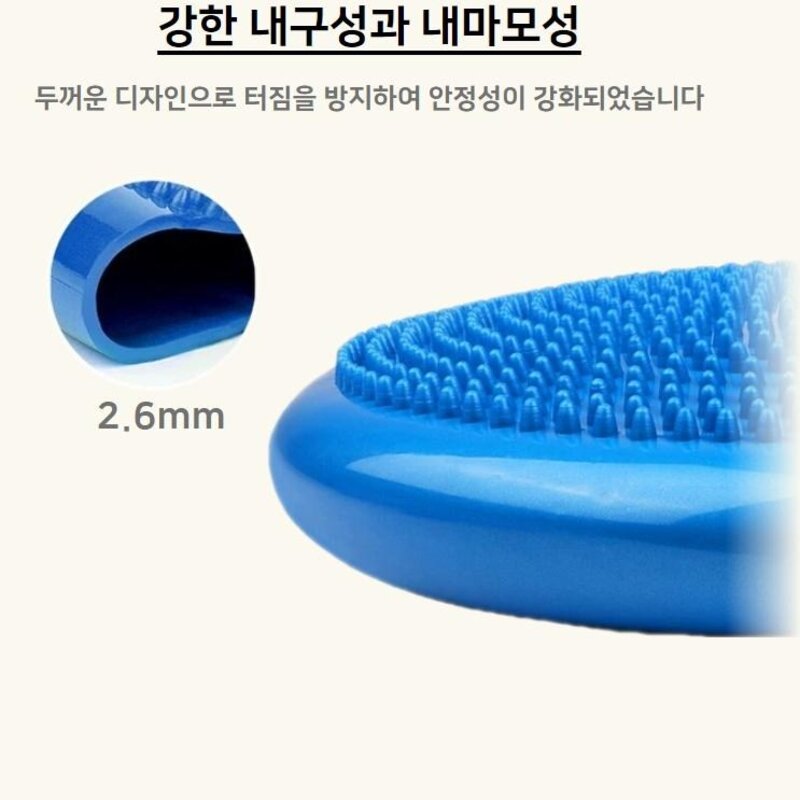 강아지짐볼 운동 기구 밸런스 볼 슬개골 보호, 파랑+펌프, 1개