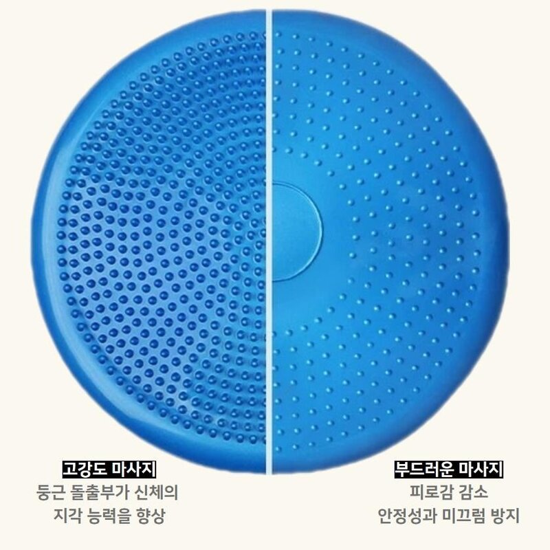 강아지짐볼 운동 기구 밸런스 볼 슬개골 보호, 파랑+펌프, 1개