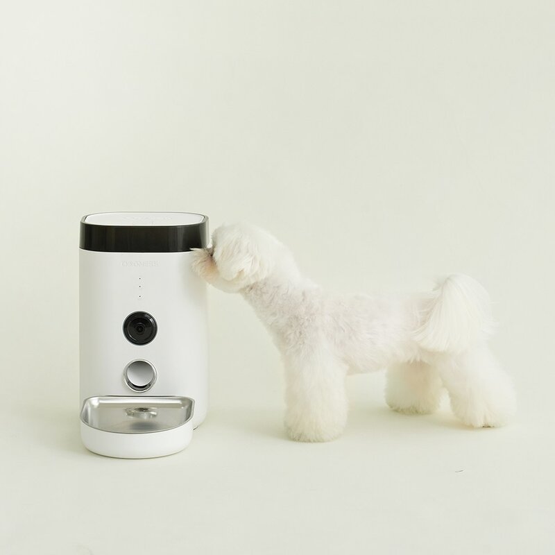 펫쭈 스마트 자동급식기 홈캠 F10 강아지 고양이 펫, 화이트 / 3.6L