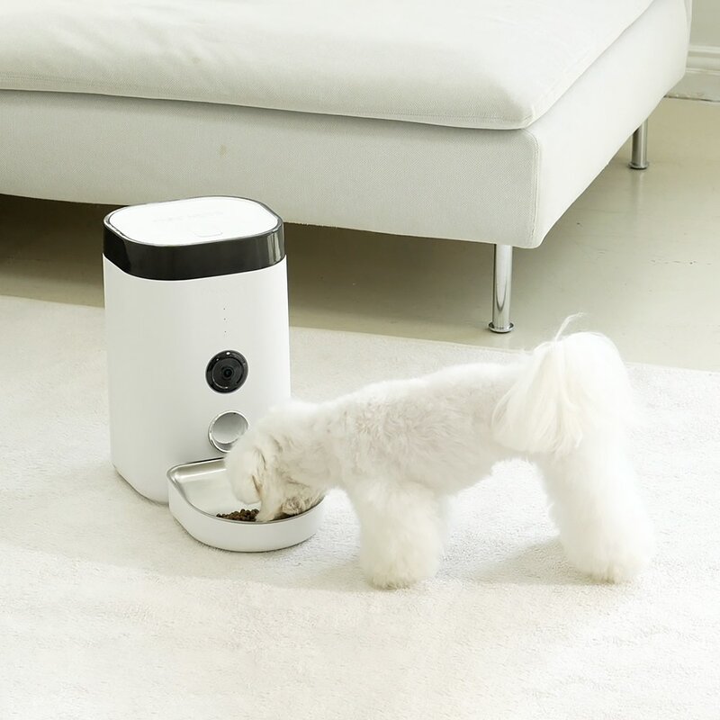 펫쭈 스마트 자동급식기 홈캠 F10 강아지 고양이 펫, 화이트 / 3.6L