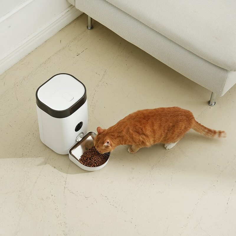 펫쭈 스마트 자동급식기 홈캠 F10 강아지 고양이 펫, 화이트 / 3.6L