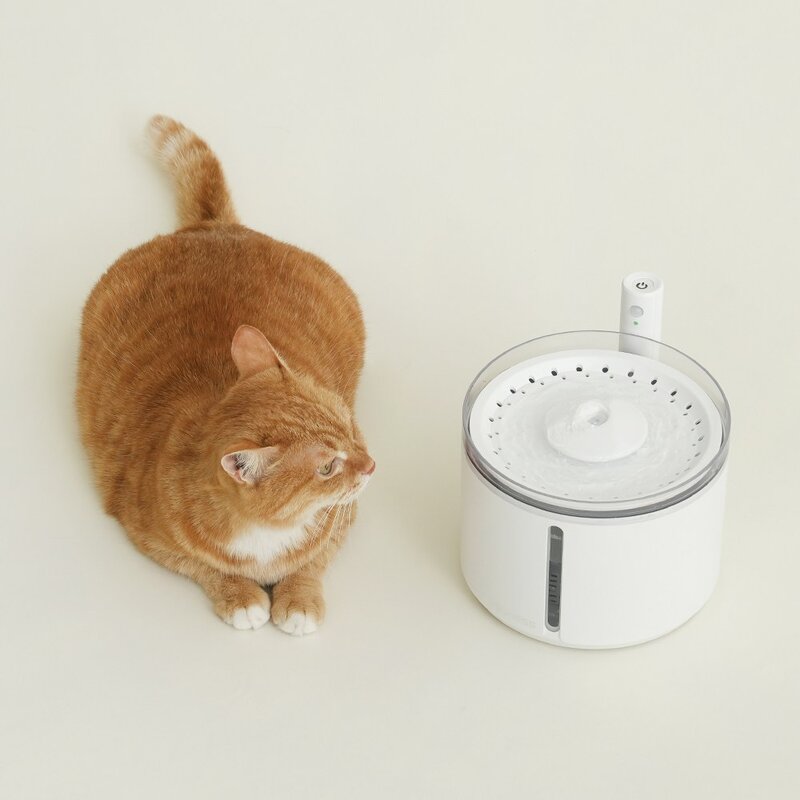 펫쭈 무선 자동급수기 고양이 강아지 스마트 정수기 모션인식 D08, 화이트 / 2.2L, 1개