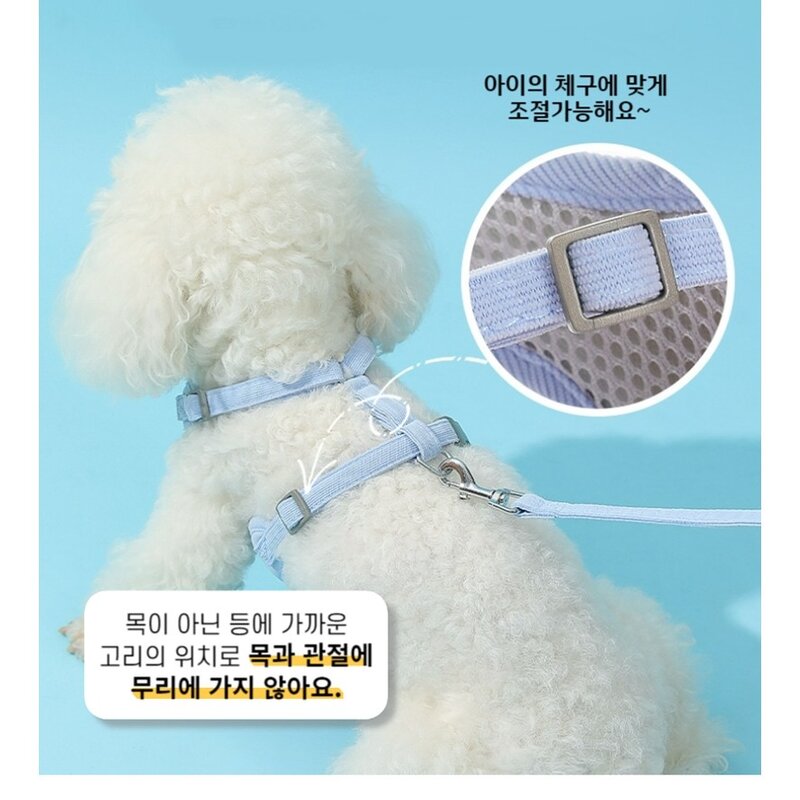 꼼펫 강아지 고양이 산책줄 플라워 가슴줄 하네스 리드줄 세트, 블루, 1개