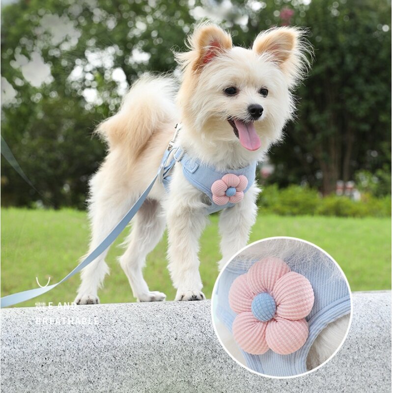 꼼펫 강아지 고양이 산책줄 플라워 가슴줄 하네스 리드줄 세트, 블루, 1개